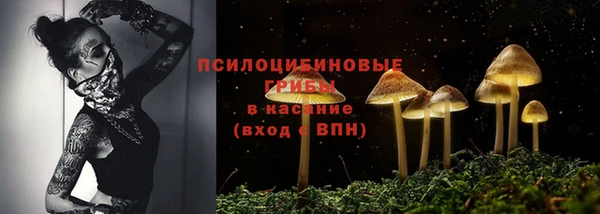 прущий лед Абаза